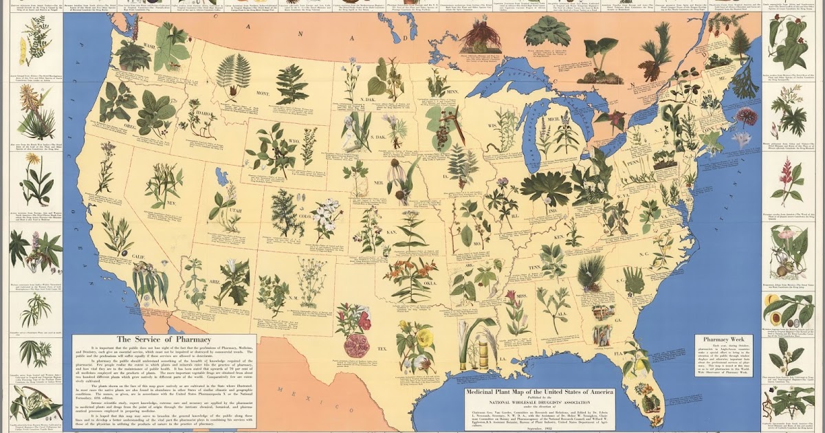 An Amazing 1932 Depression-Era Medicinal Plant Map of the United States!