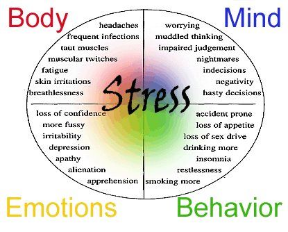 stress-mindbody-wise-ethan-mn