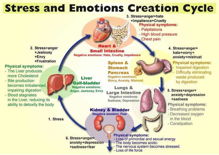 emotion-cycle